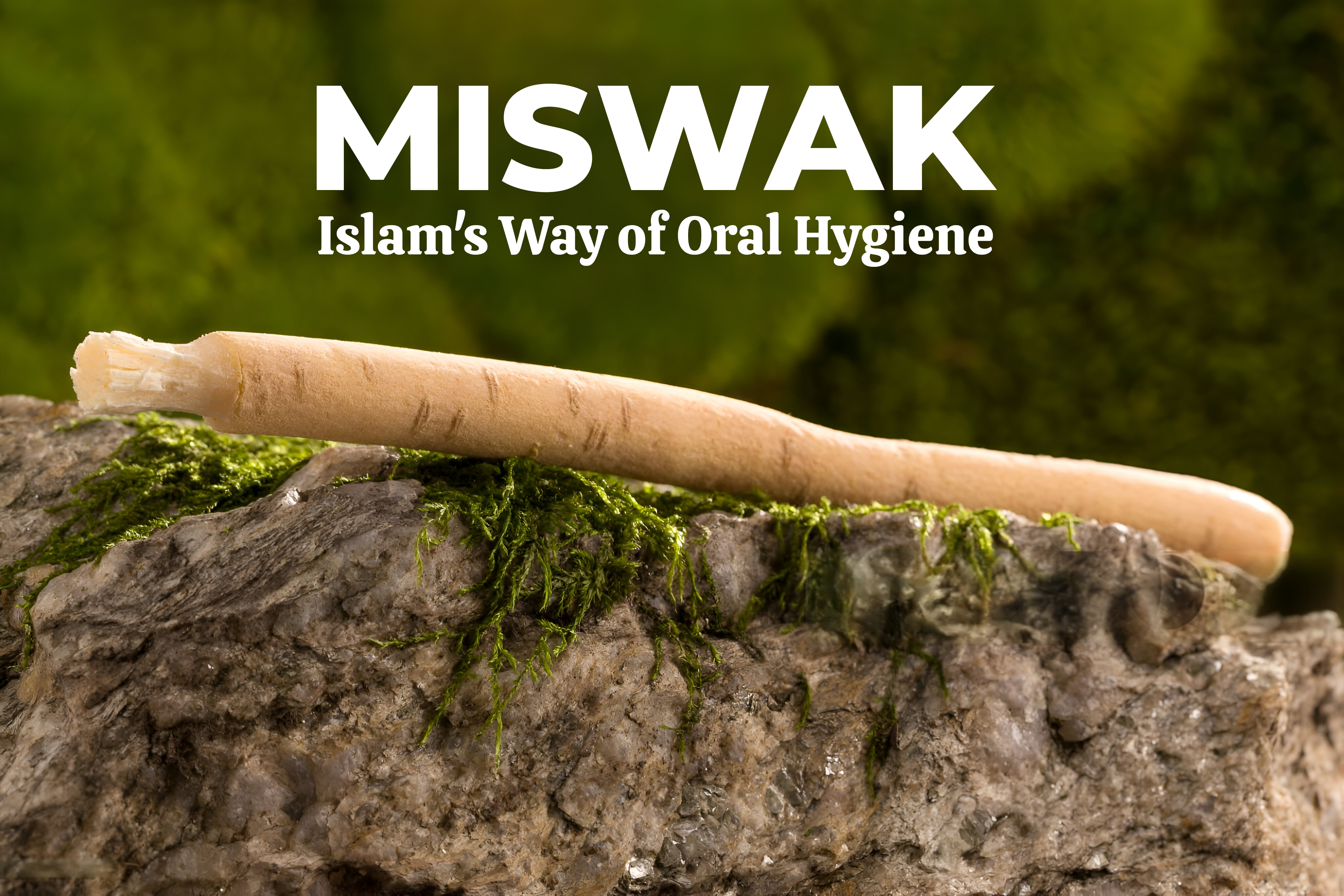 Miswak as a traditional oral hygiene tool with medicinal benefits, recommended by Prophet Muhammad (PBUH)